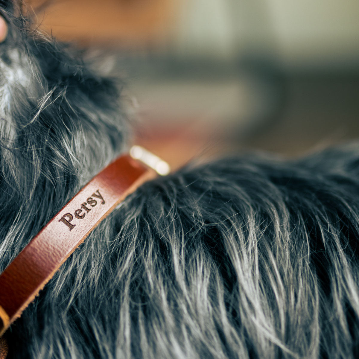 Dog Collars: custom designs for your furry friends - Think.Make.Share.